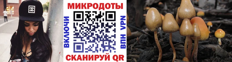 Галлюциногенные грибы прущие грибы  KRAKEN ССЫЛКА  Полярные Зори 