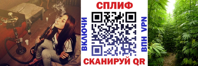 мега ссылки  Полярные Зори  МАРИХУАНА тримм 